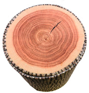 Tree Stump toy storage bin